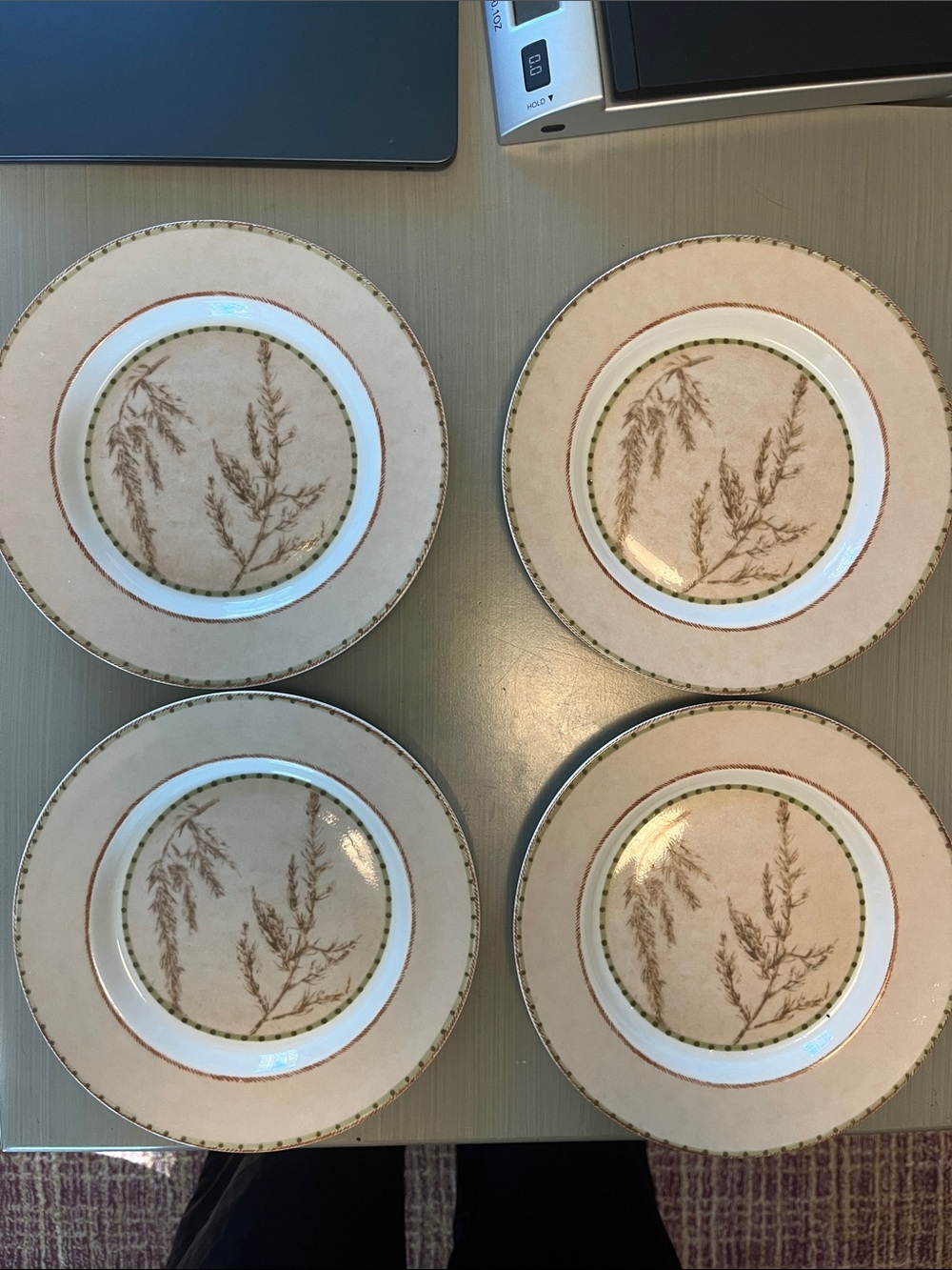 Set of 4 Dansk Fern Plates Salad Luncheon